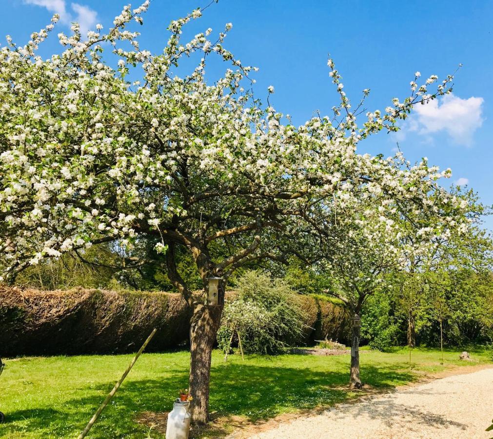 L'Atelier Au Jardin D'Isabelle Bed and Breakfast Fatouville-Grestain Εξωτερικό φωτογραφία